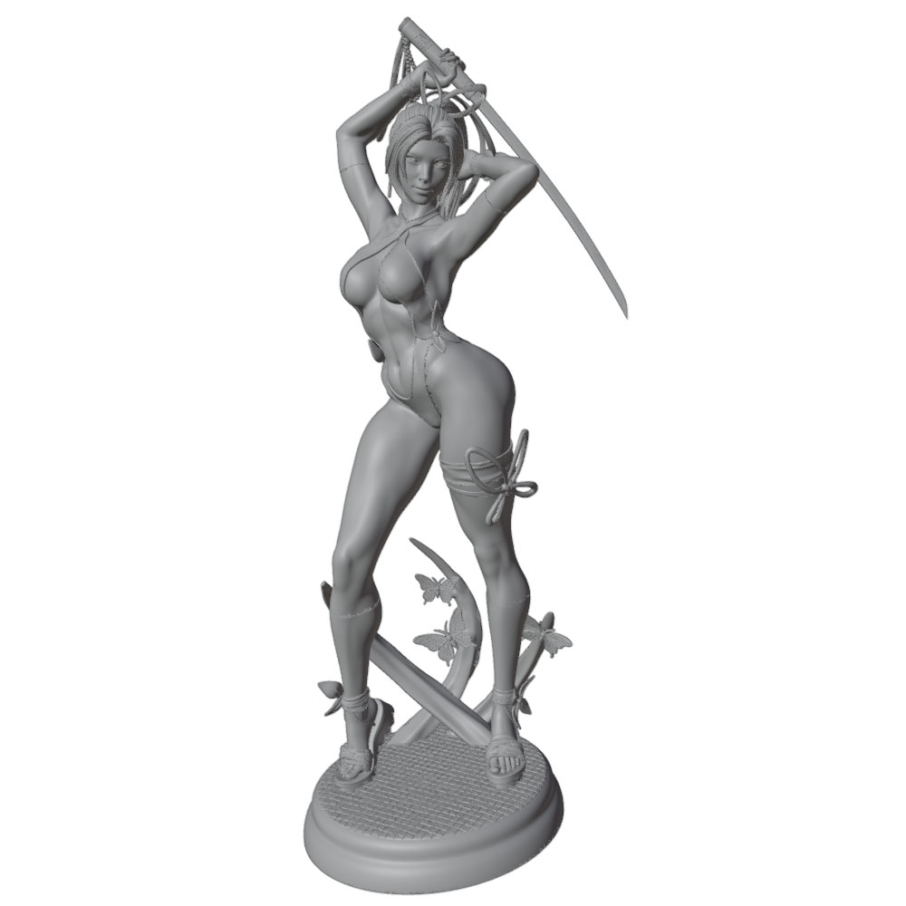 1/24 Female 	Warrior Resin Mod - 3D Printing Apps review and price