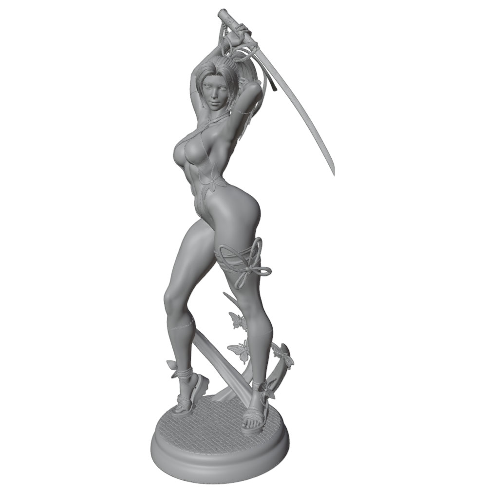 1/24 Female 	Warrior Resin Mod - 3D Printing Apps review and price
