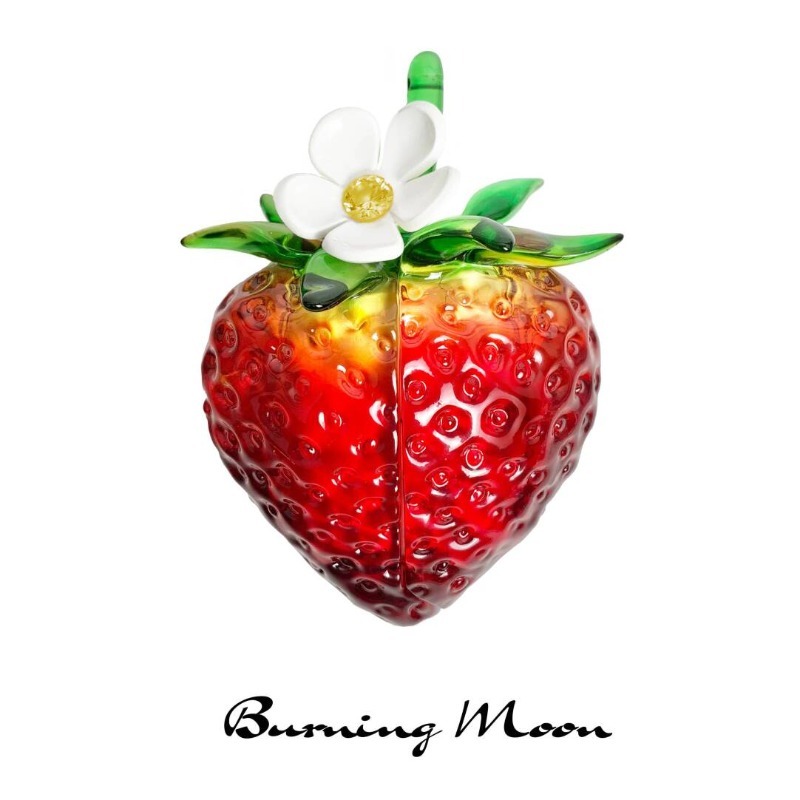 Strawberry Earphone Case for A - 3D Printing Housing review and price