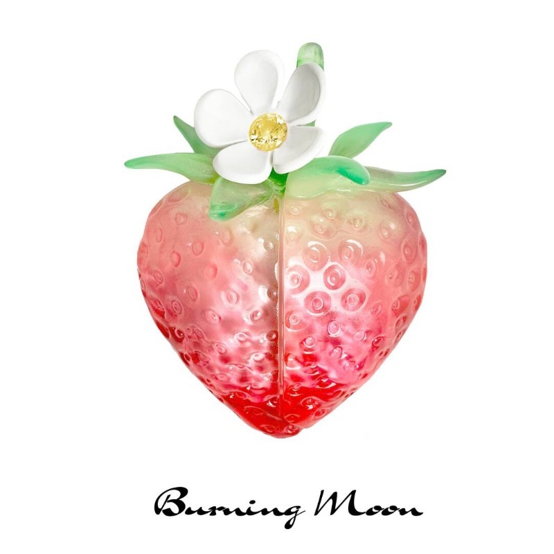 Strawberry Earphone Case for A - 3D Printing Housing review and price