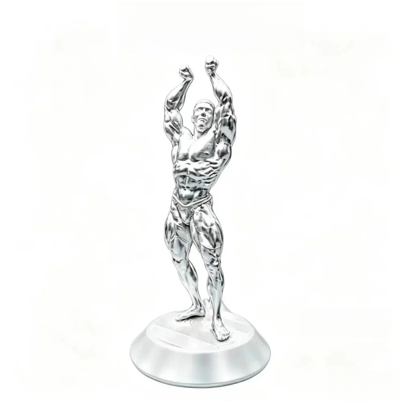 Hardcore Muscular Male Competi - 3D Printing Gold review and price