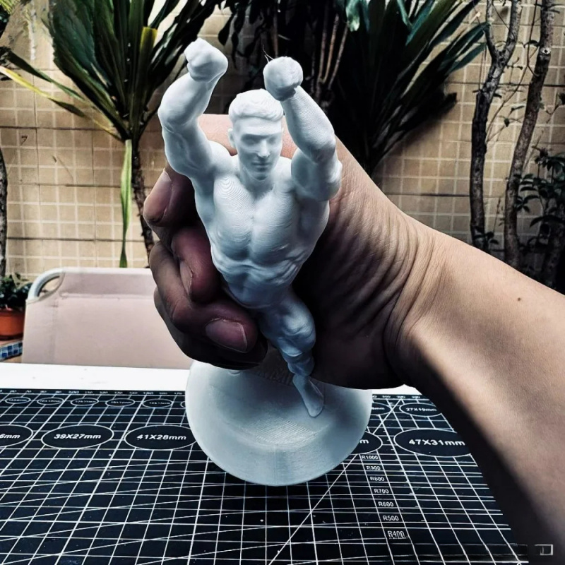 Hardcore Muscular Male Competi - 3D Printing Gold review and price