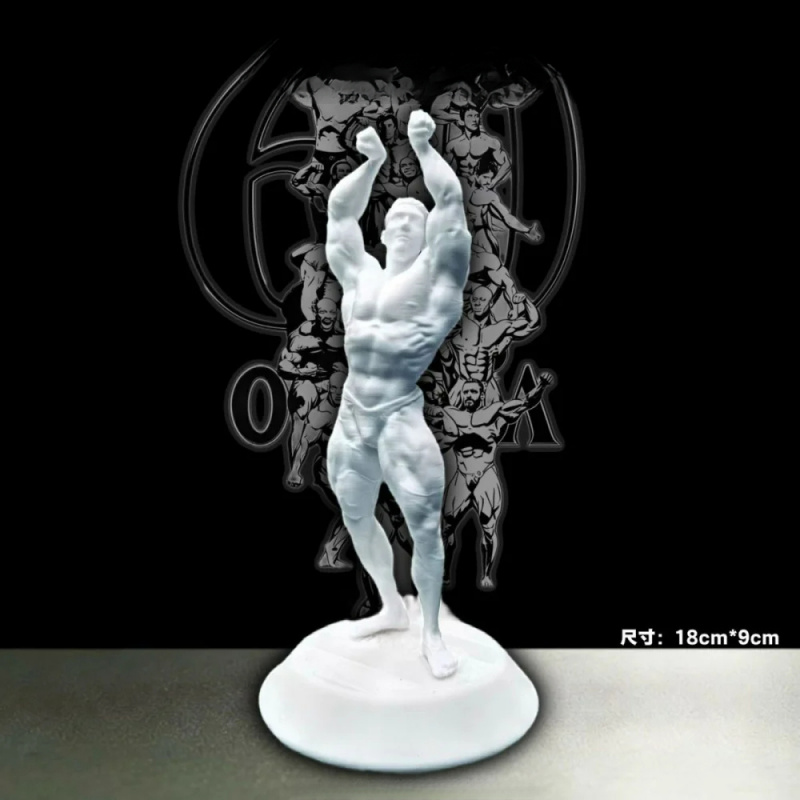 Hardcore Muscular Male Competi - 3D Printing Gold review and price