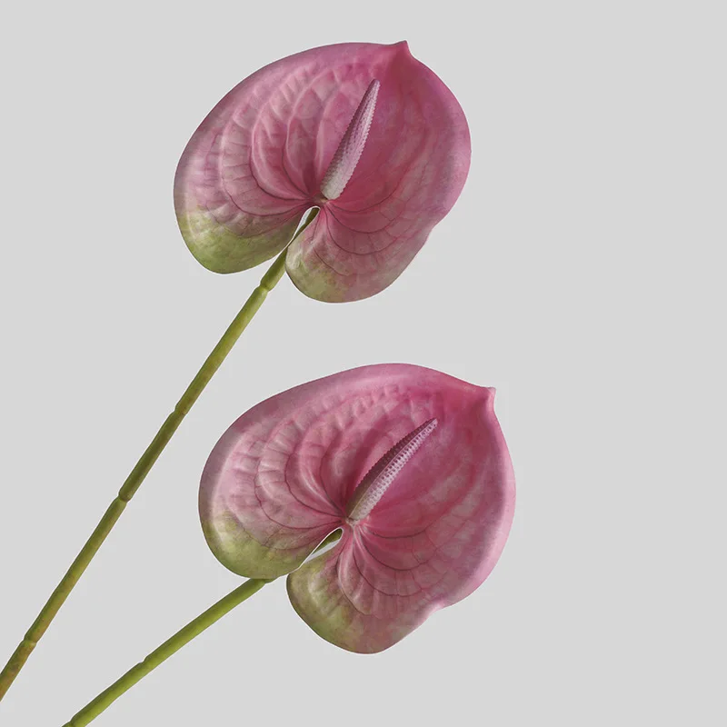 Simulated Flower Living Room H - 3D Printing Ai review and price